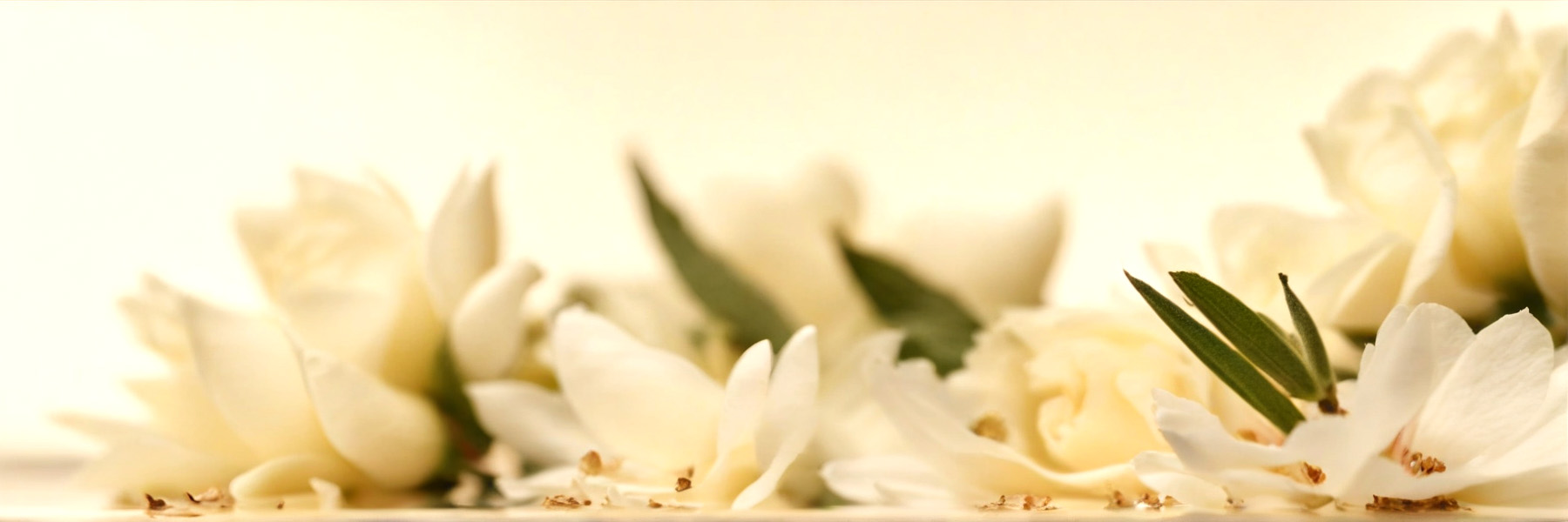 Explore our Floral Perfume Oils—timeless bouquets of rose, jasmine, tuberose, and peony. Alcohol-free, long-lasting, and crafted for elegant, modern femininity.