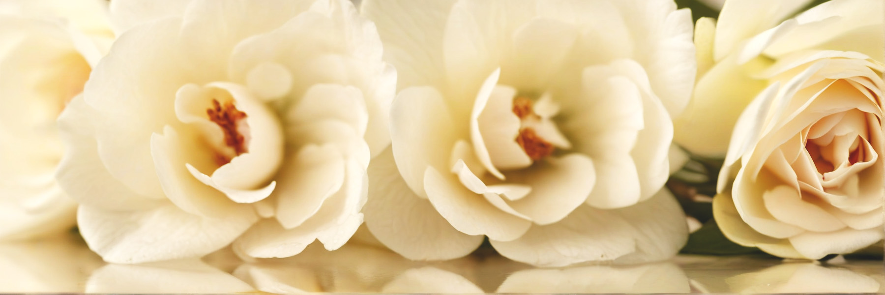 An elegant flat-lay of floral perfume oil bottles with fresh rose petals, jasmine blossoms, and soft fabric—a premium, romantic visual for the Floral Perfume Oils category.