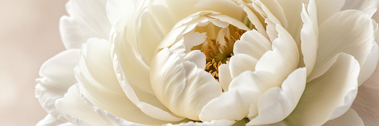 Discover pure single note perfume oils crafted with clarity and precision. Featuring individual notes like rose, oud, vanilla, sandalwood, and more.