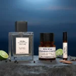 Wild Blue Untamed Spirit Edition men’s perfume oil – fresh spicy woody fragrance with bergamot, pepper, and cedarwood in a luxury minimalist design